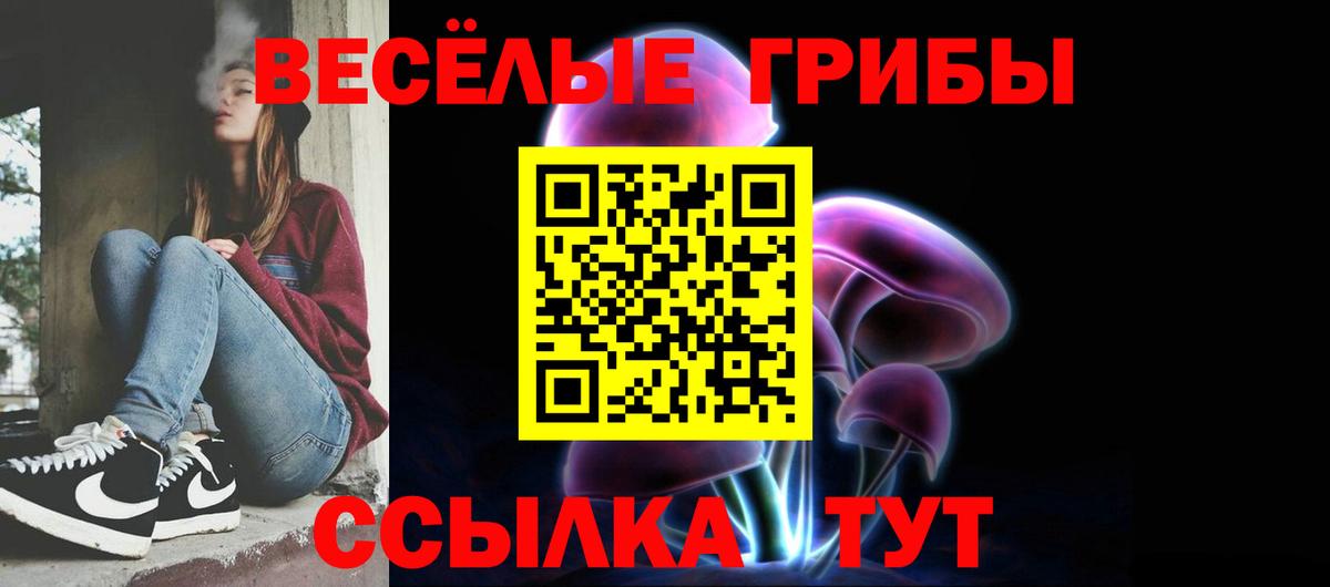 Зеленодольск  Псилоцибиновые грибы Psilocybine cubensis  Вход с VPN 